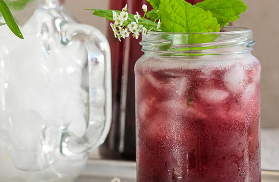 Apple Cider Vinegar Blueberry & Ginger Shrub image