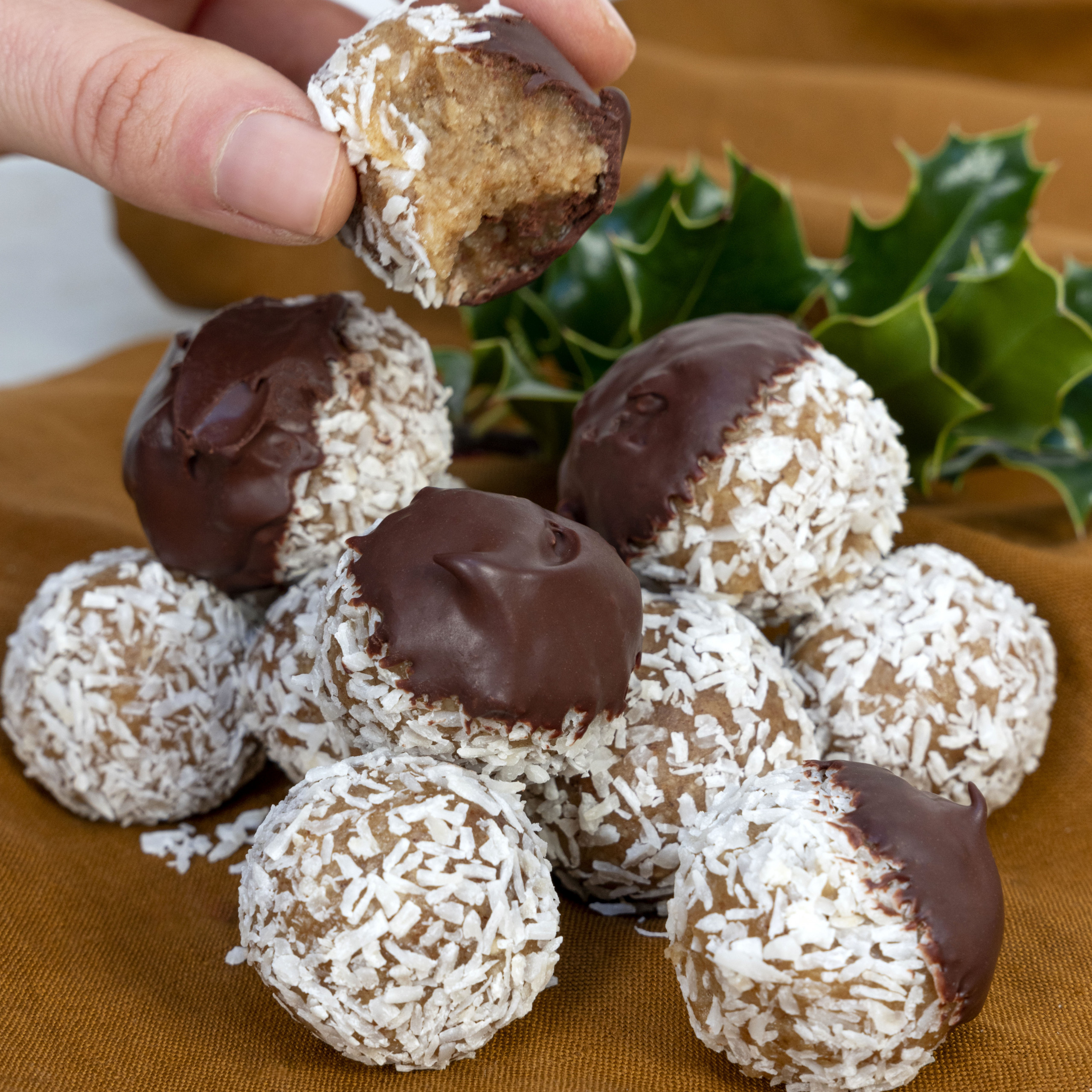GINGERBREAD ENERGY BALLS | Raw Vibrant Living